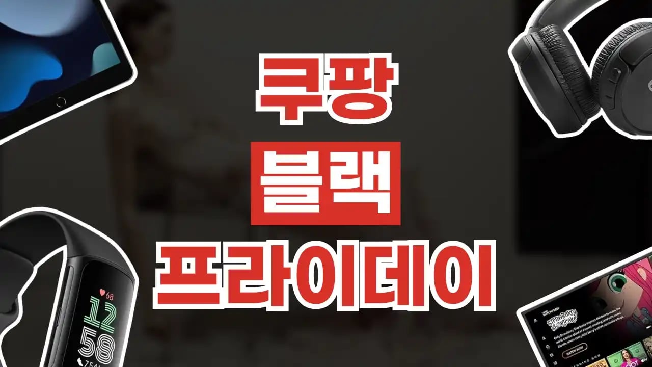 쿠팡 블랙프라이데이