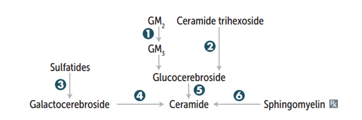 Enzyme conversion