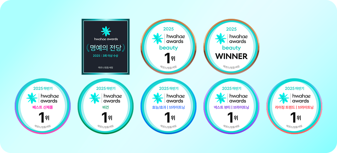 2025 하반기 화해 어워드 엠블럼 번역본