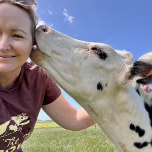 Cow Love