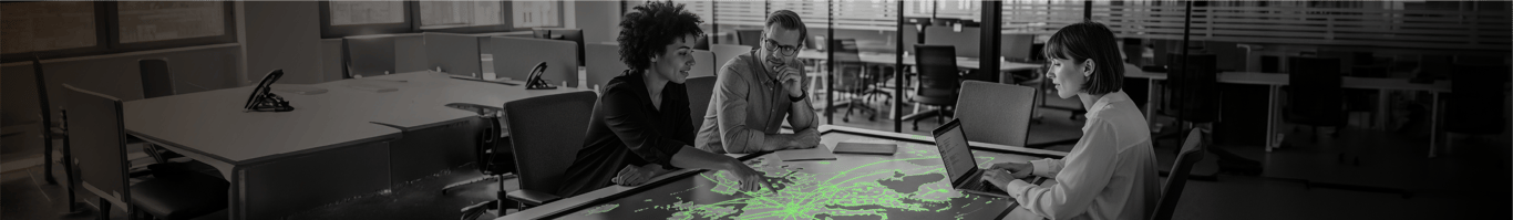 A true international and european telecom operator