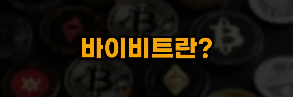 바이비트란?