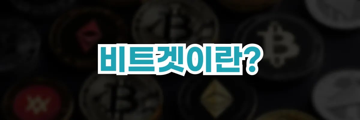 비트겟이란?