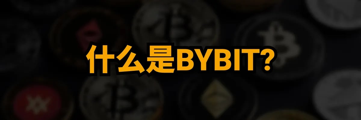 什么是BYBIT?