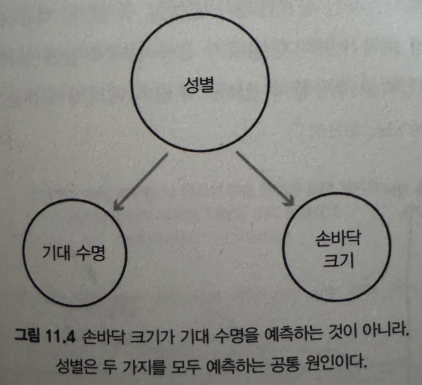 공통 원인