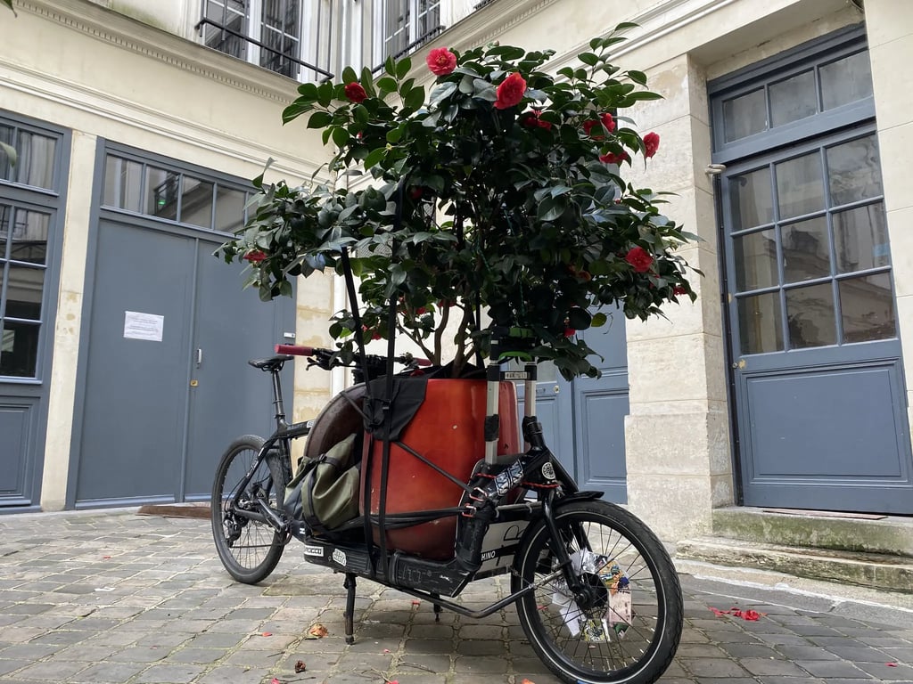 Pour un particulier qui déménageait, chargement d’un pot de fleur dans une cours d’immeuble.