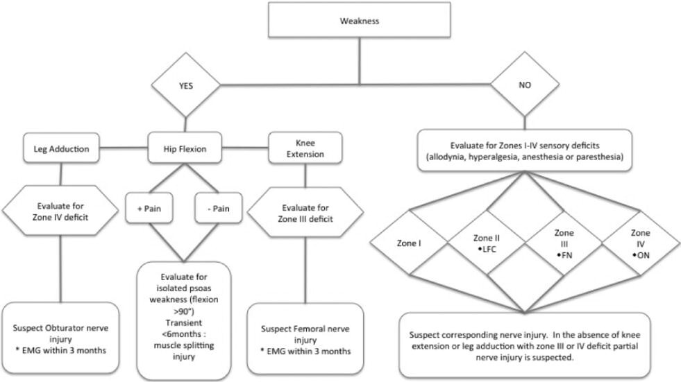 Diagnostic paradigm for lumbar plexopathy. Interval electrodiagnostic studies for weakness without clinical recovery are performed at 6 weeks and 3 months (asterisks), and then at intervals thereafter to evaluate for reinnervation. Motor deficits with initial strength greater than antigravity have the potential for good functional recovery with physical therapy (suspected partial neurapraxia). No definitive conclusion on prognosis can be made from initial plegia. A degree of improvement is expected within 3 months with neurapraxia as opposed to axonotmesis or neurotmesis. FN = femoral nerve; LFC = LFCN; ON = obturator nerve.