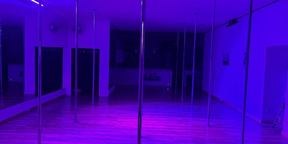 Intro To Pole