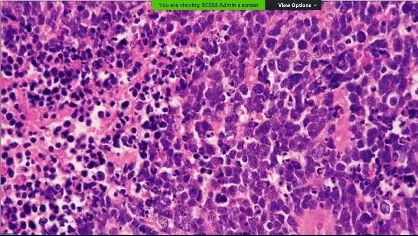 «به.د: ترة ي ي: وو و مني ى a . د 