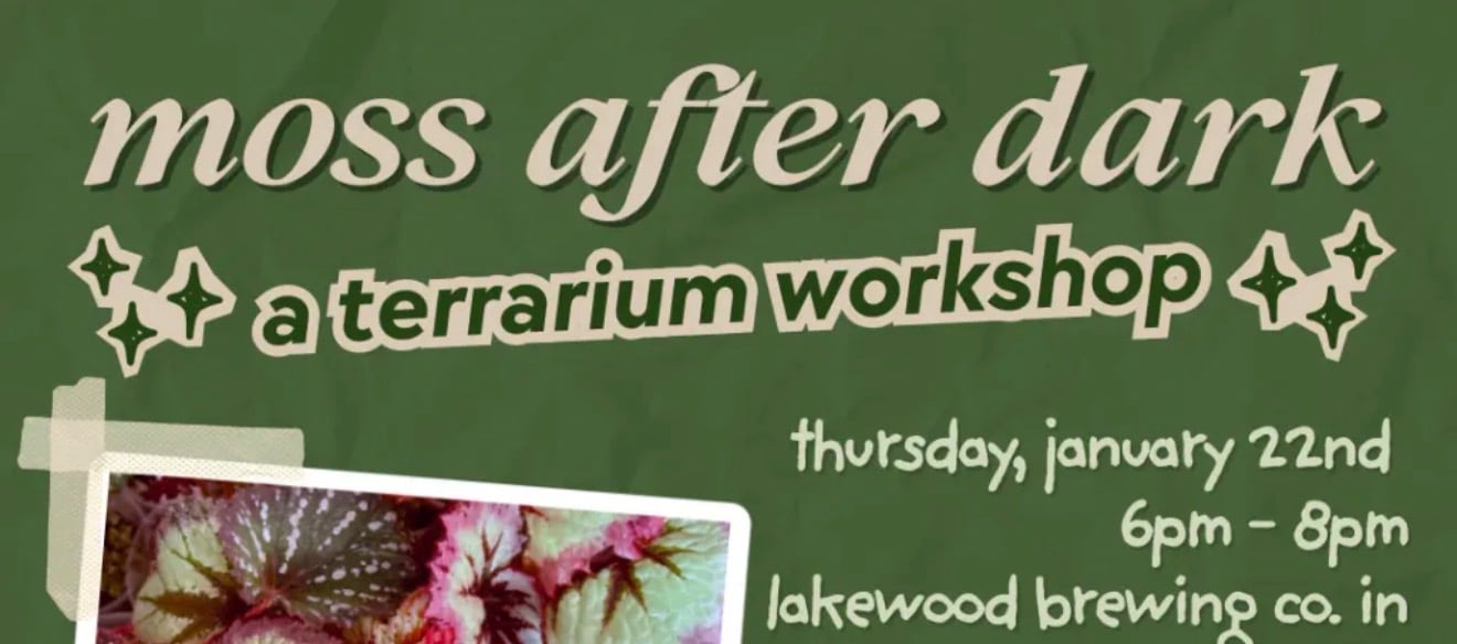 Moss After Dark - Terrarium Workshop