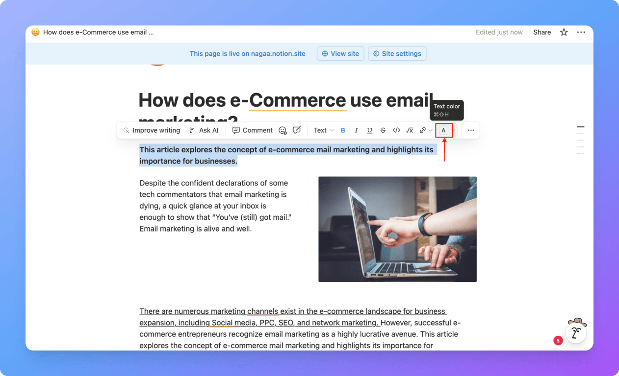 Notion text highlight options in floating toolbar