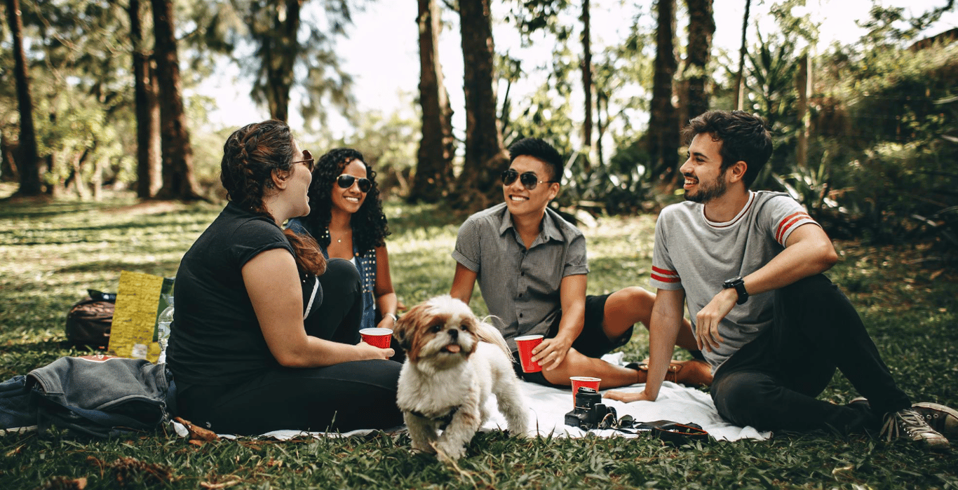 Mastering Relationships Step by Step: Connect Book Summary