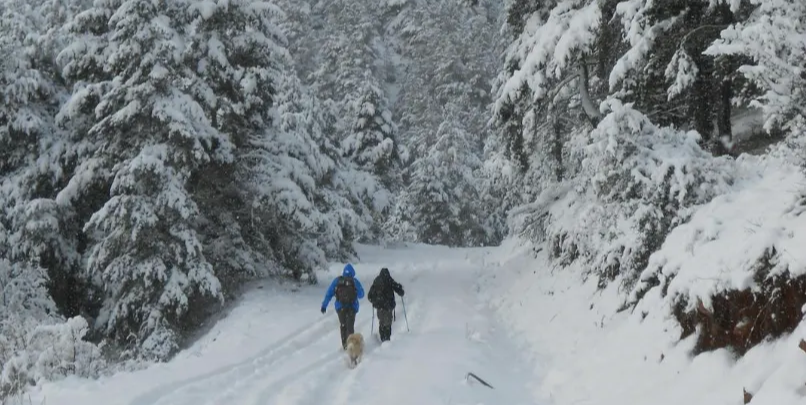 Step 2: Climb The Headwall (Correction) - A Connect Book Summary