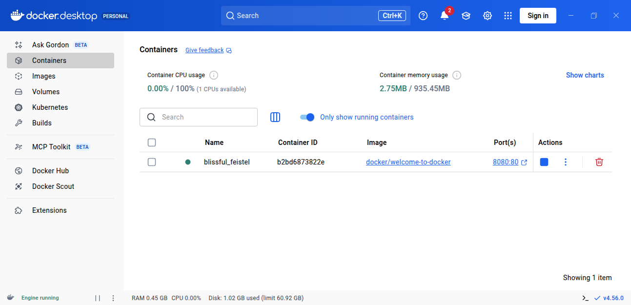 The container running in Docker Desktop.