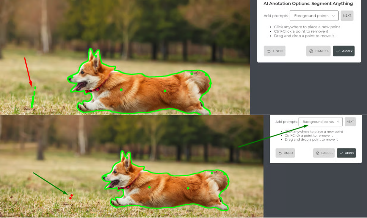 Using background points to adjust AI annotation