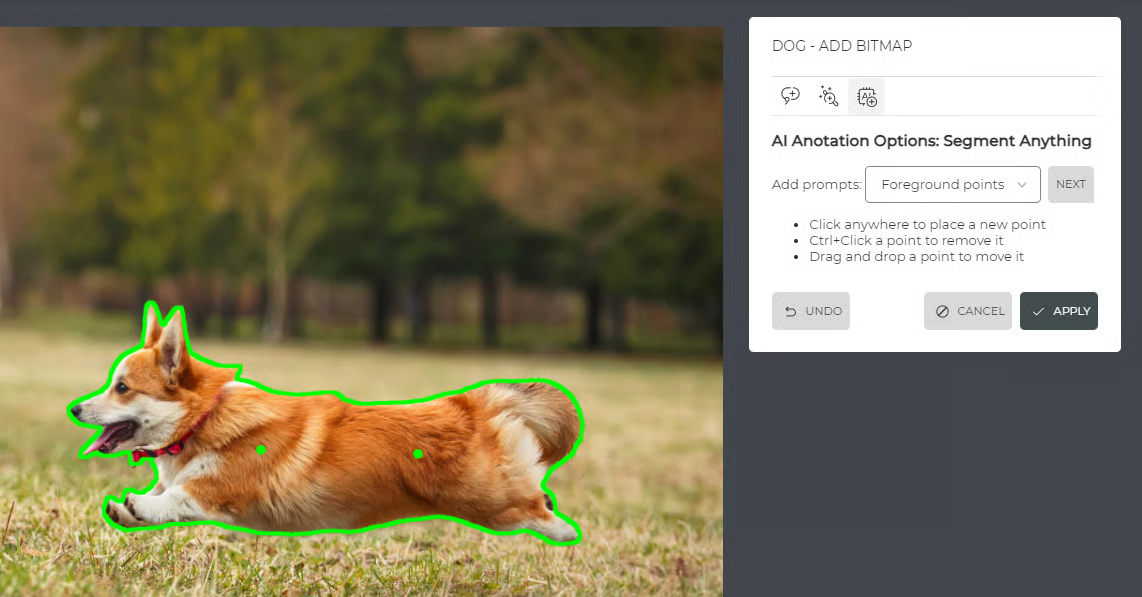 Example of AI annotation while adding foreground points