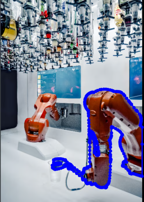 Example of Polygon annotation