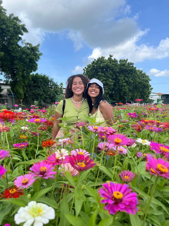 Tierra Tropical - Edición San Valentín