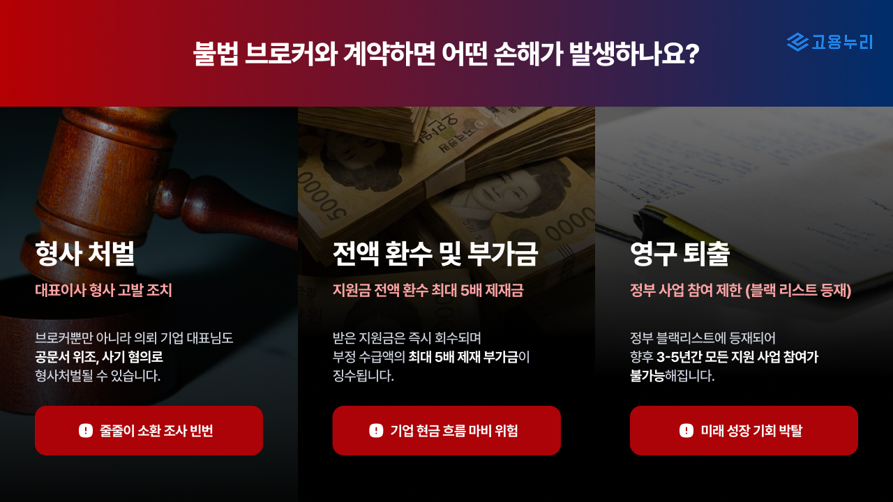 불법브로커-지원사업-정부자금조달-위들리