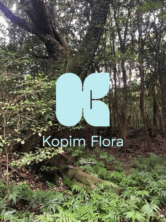 제주도 곶자왈 숲생태체험장ⓒKopimflora