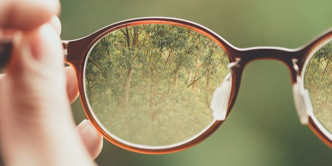 Eyesight & Conscious Vision