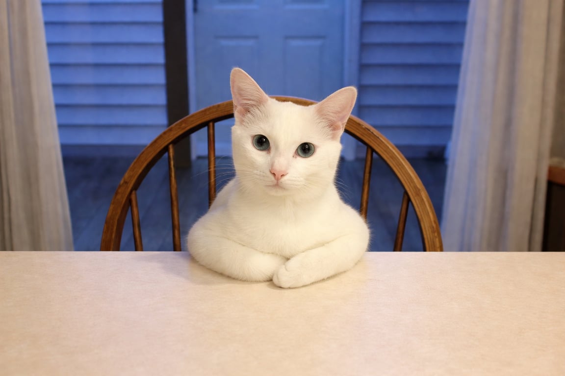 Stop Underestimating Yourself Bruhhh — You’re Stronger Than You Think