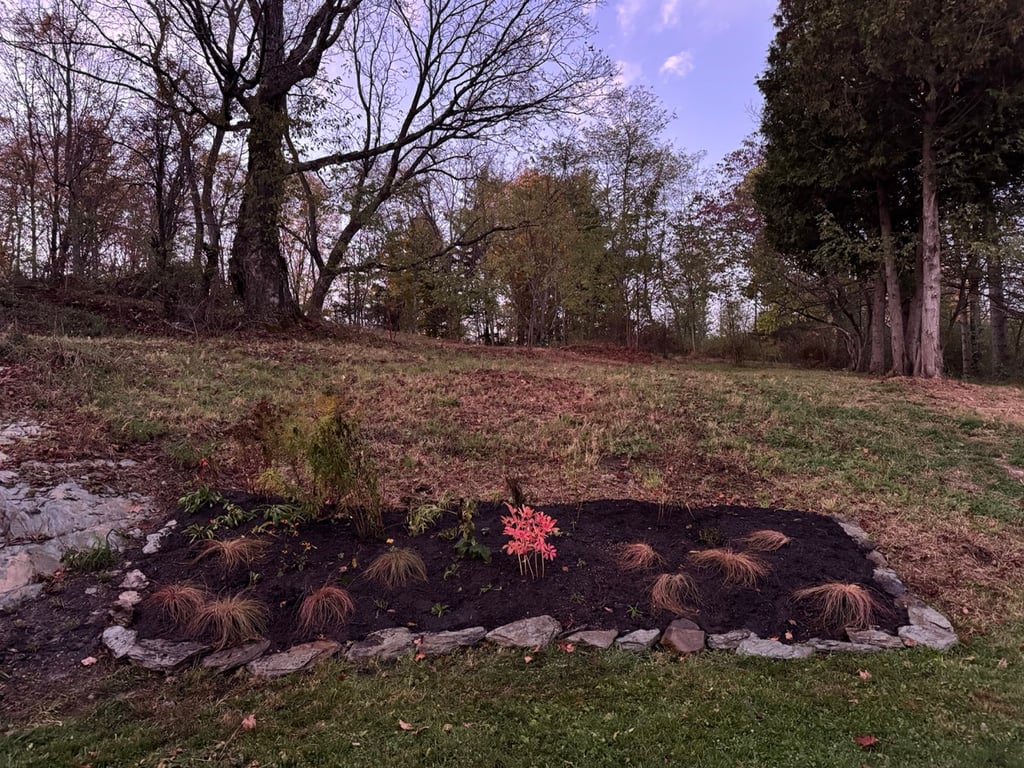 Pollinator Gardens in Philmont, NY