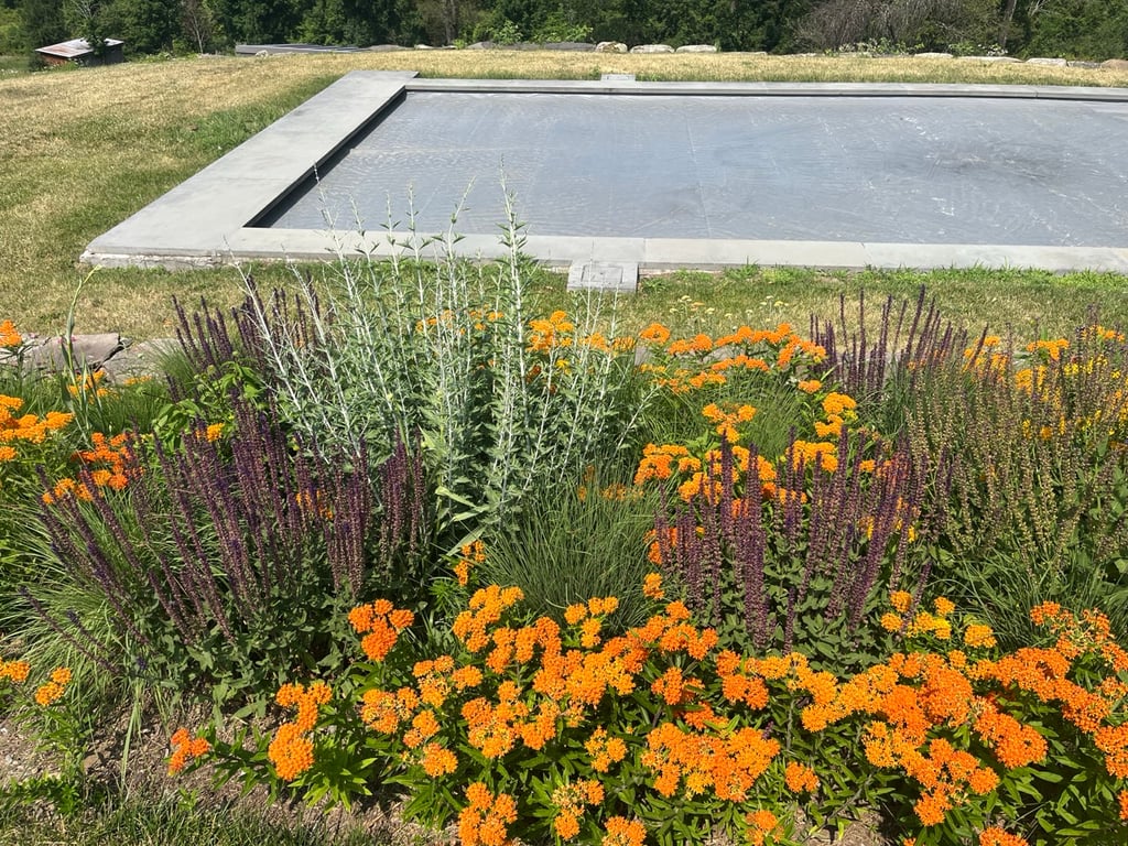 Garden Caretaking and Maintenance