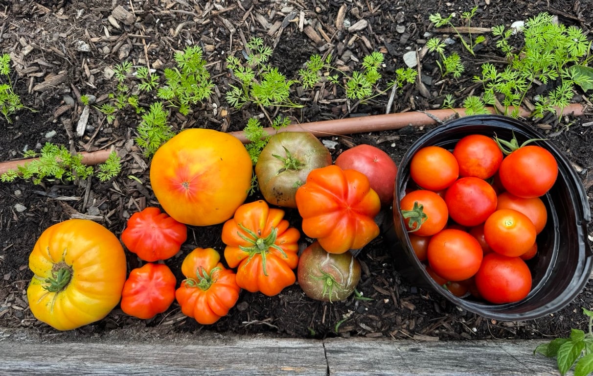 Kitchen Garden in Valatie, NY