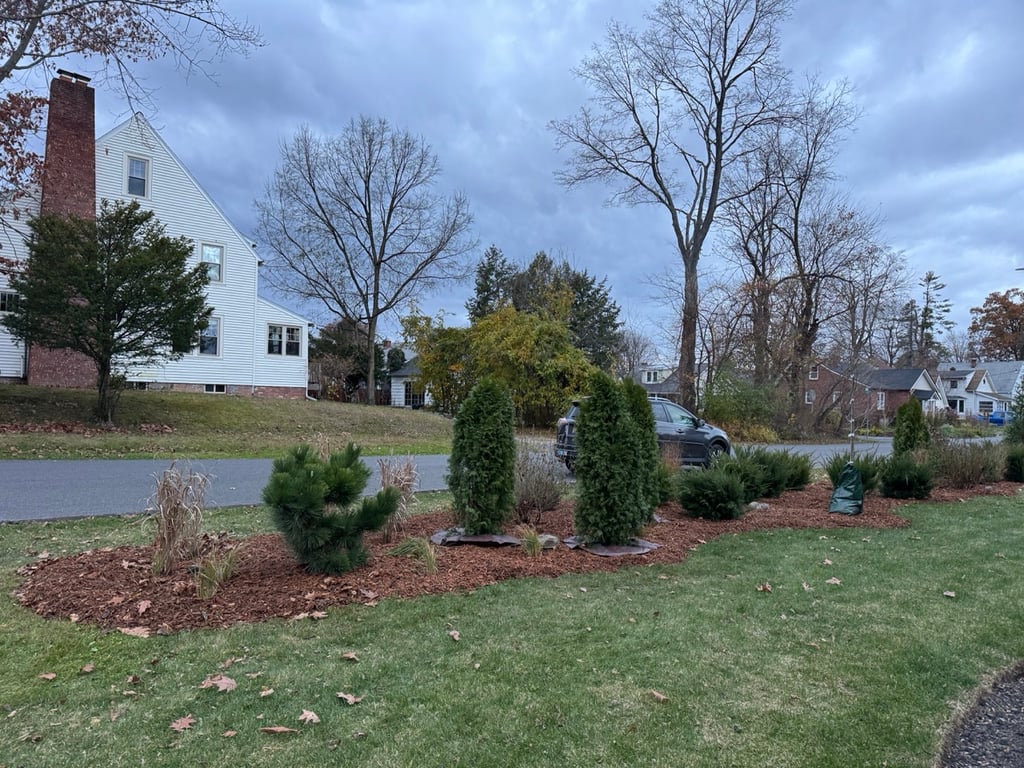 Privacy Hedge in Kingston, NY