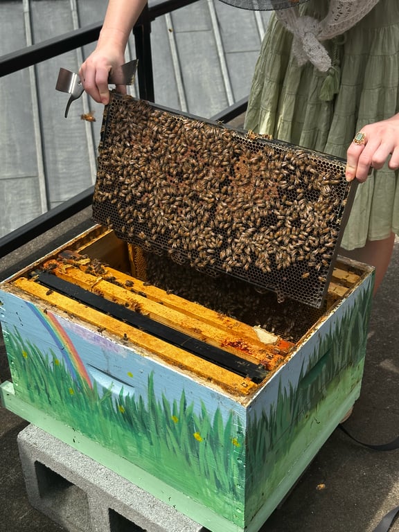 Beehive