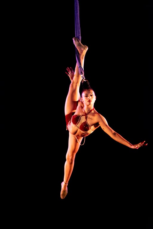 Vivian Tavares | ENCLO 2024