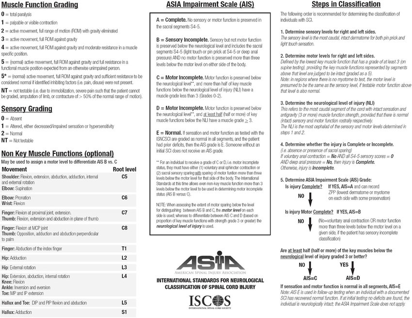 Scoring sheet for the International Standards for Neurological... | Download Scientific Diagram
