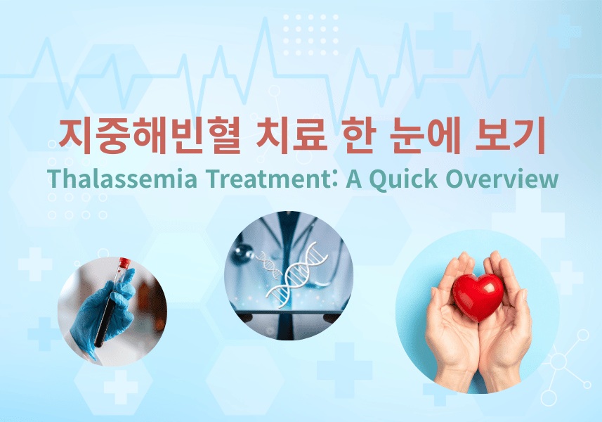 지중해빈혈 치료 한눈에 보기