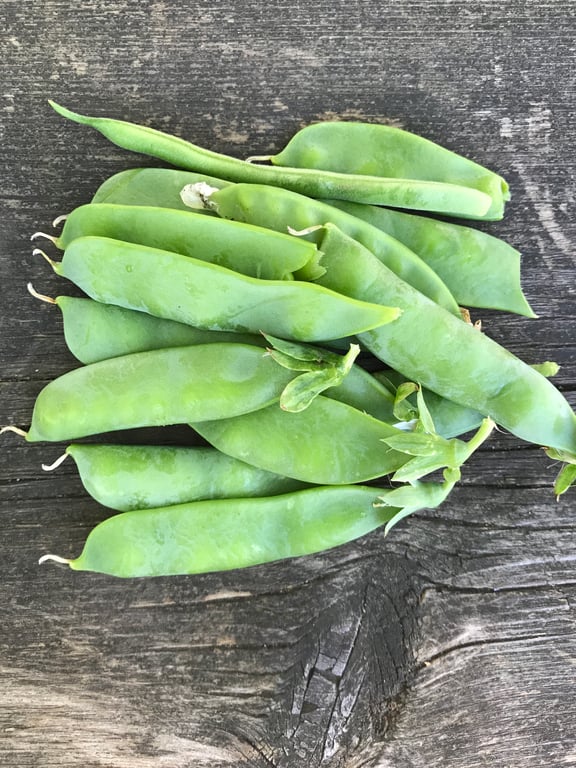 Kitchen Garden in Valatie, NY