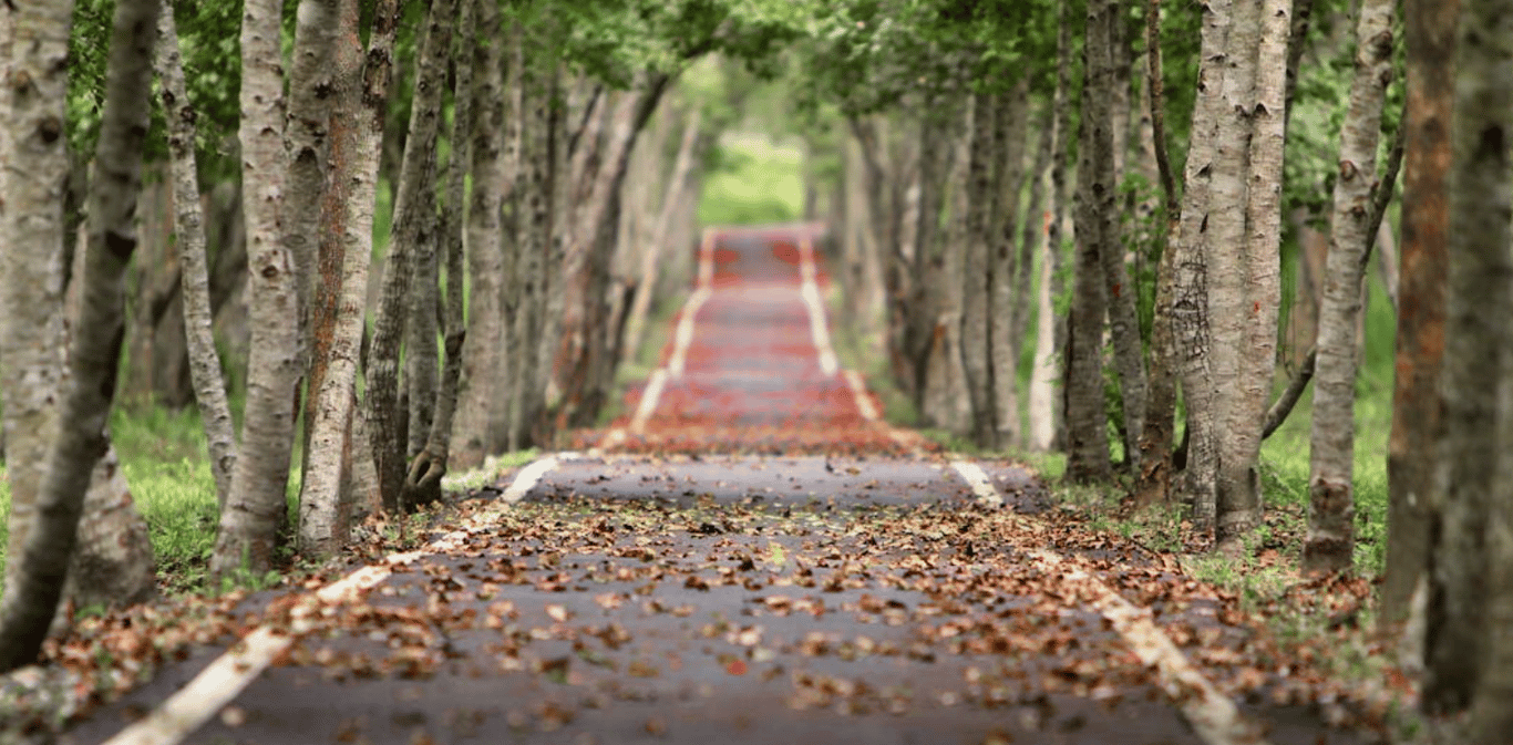 The 3 Core Blocks to Becoming a Supercommunicator