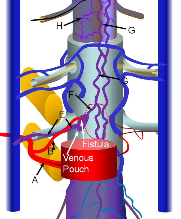 A diagram of a structure AI-generated content may be incorrect.