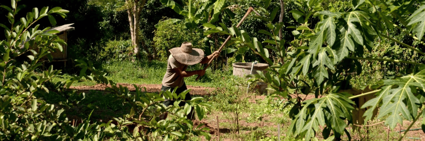 泰國青年工作營：共築永續未來（15–20歲）2026年7月25日- 8月3日
