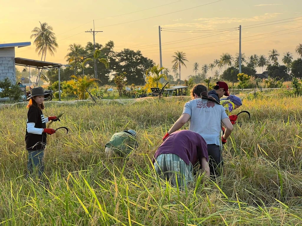 泰國 | 永續農村生活與生態文化體驗營(2026年6月14-19日)(Thoen)