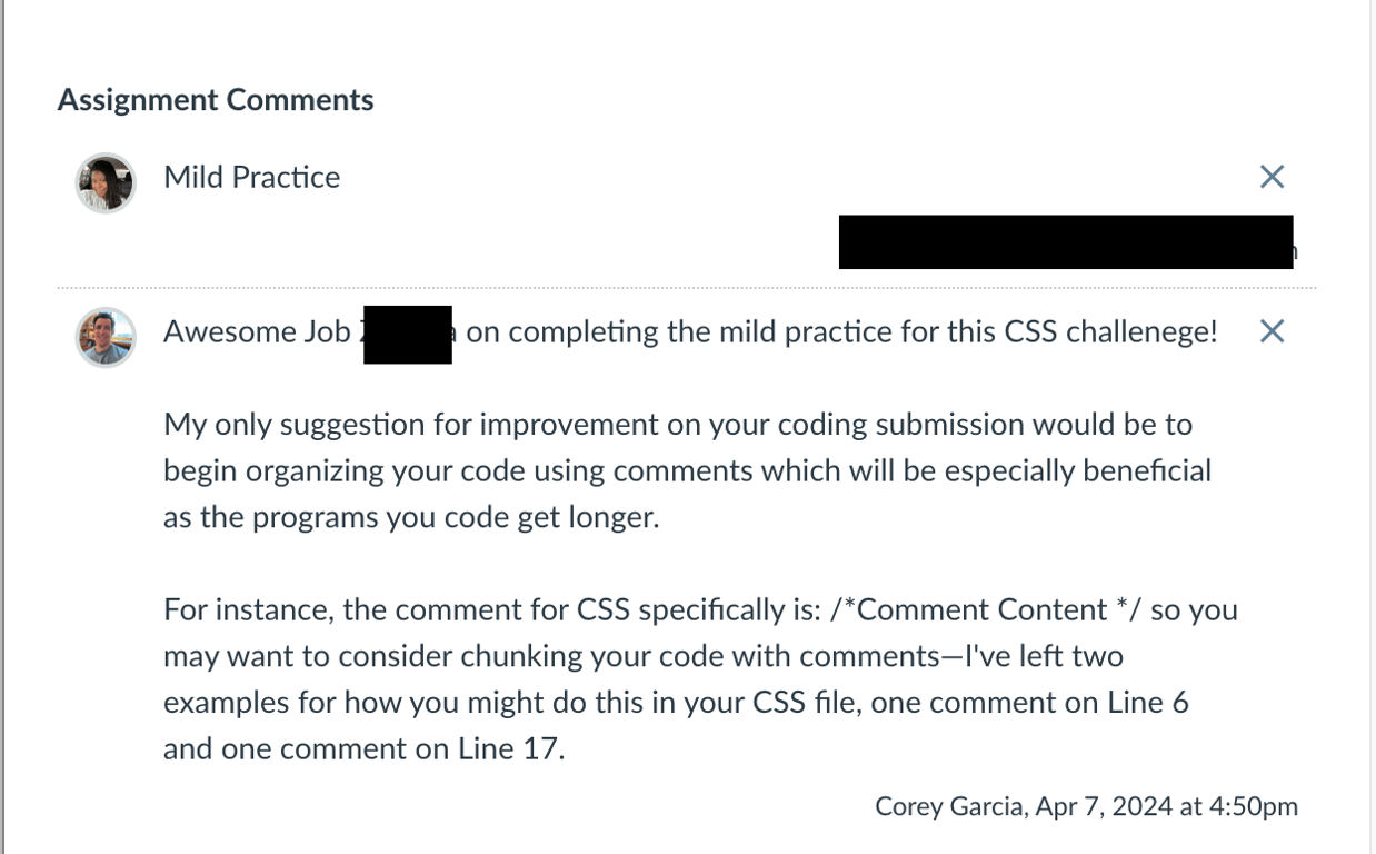 Exemplar Assignment Comments