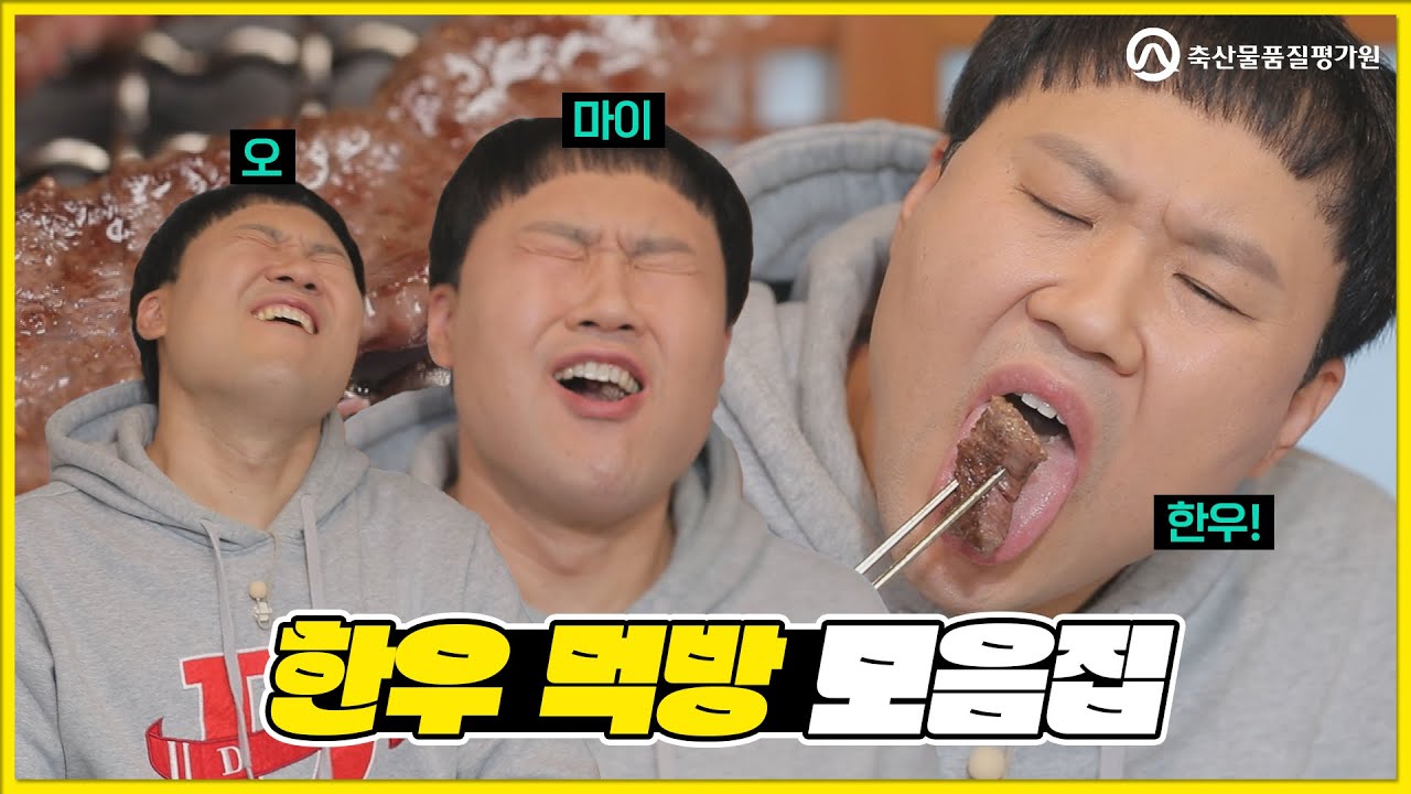 [축산물품질평가원] 본투비GOGI🥩