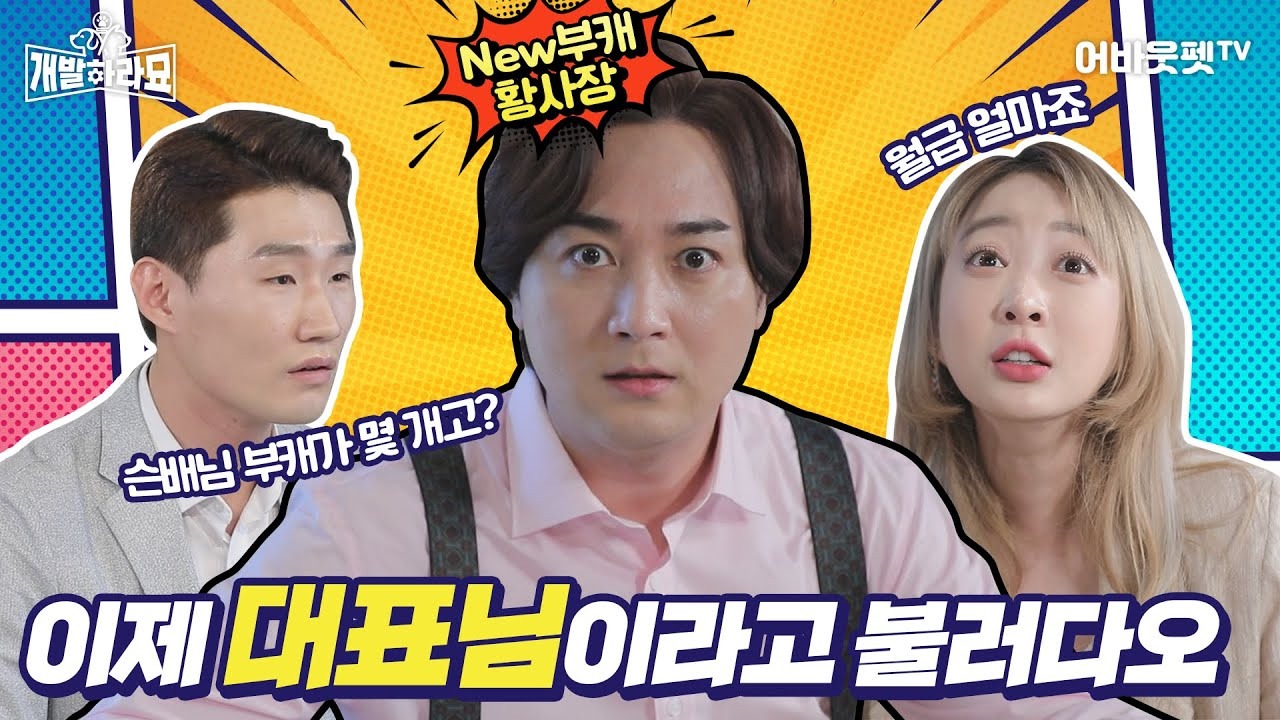 [어바웃펫] 개발하라묘