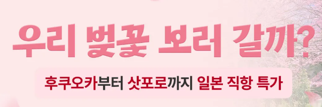 traveloka 일본 항공권 특가