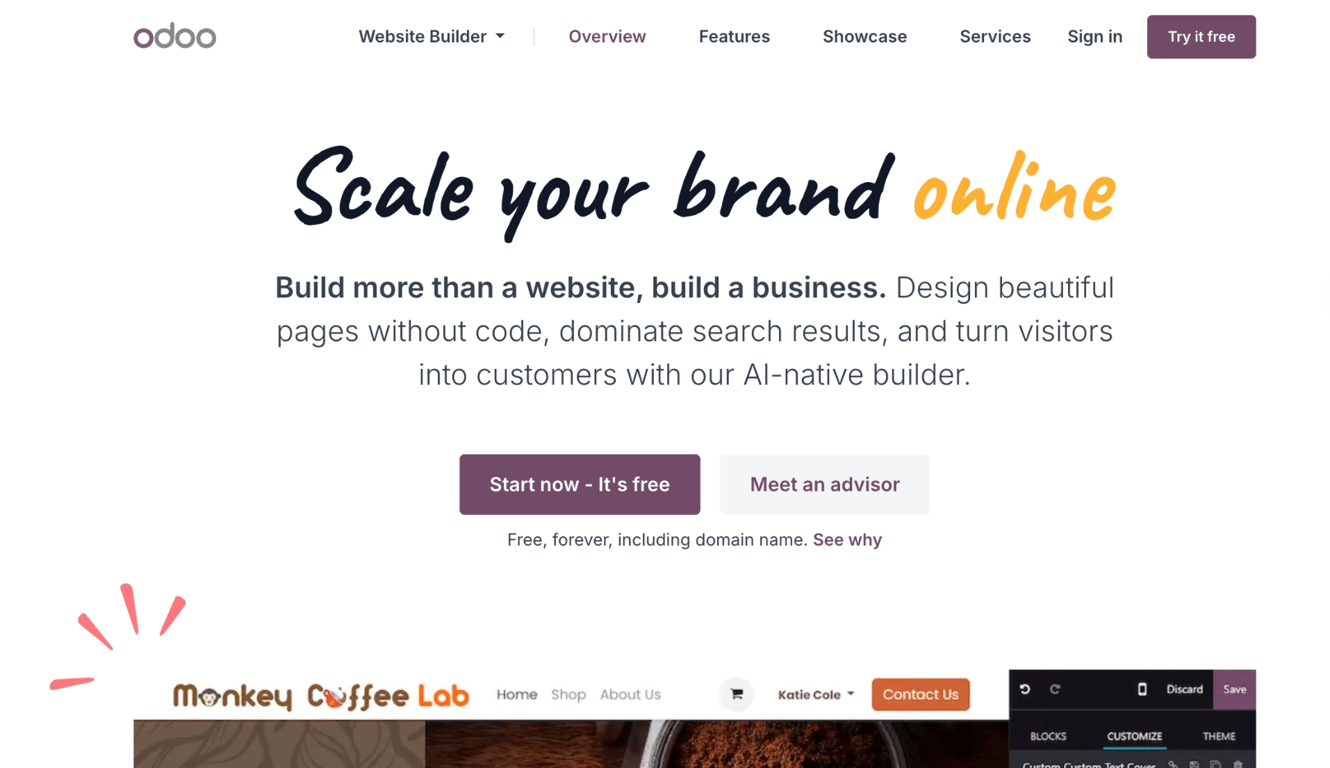 Odoo website dashboard