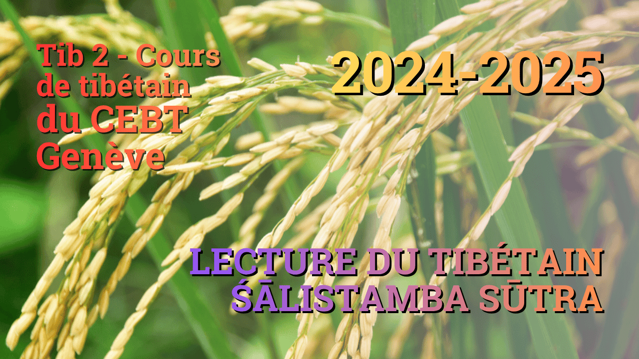 Sutra pousse de riz 2