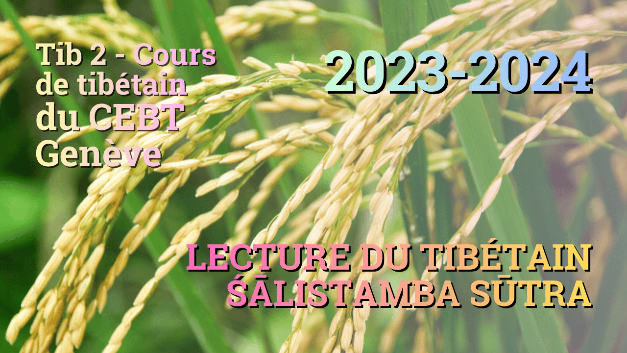 Sutra pousse de riz 1