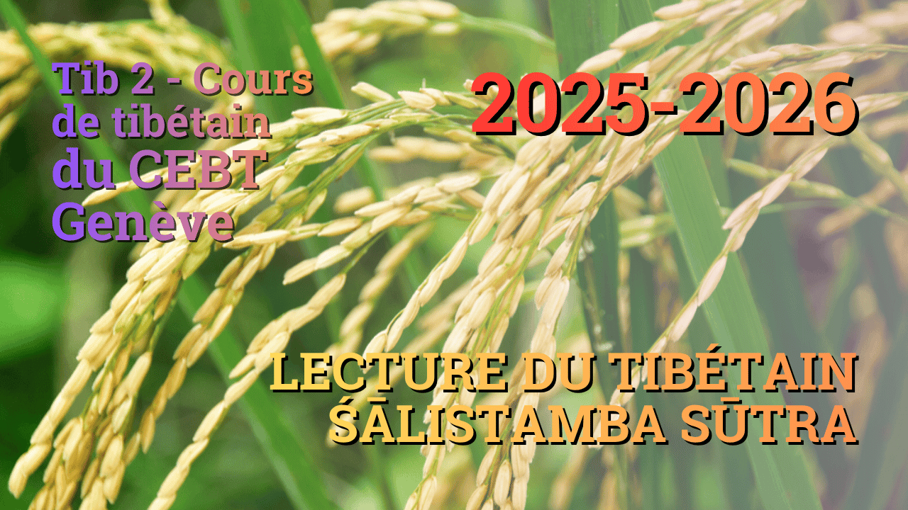 Sutra pousse de riz 3