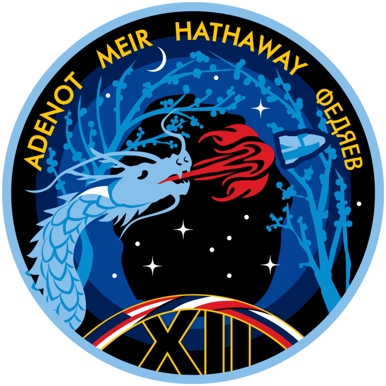 SpaceX Crew-12