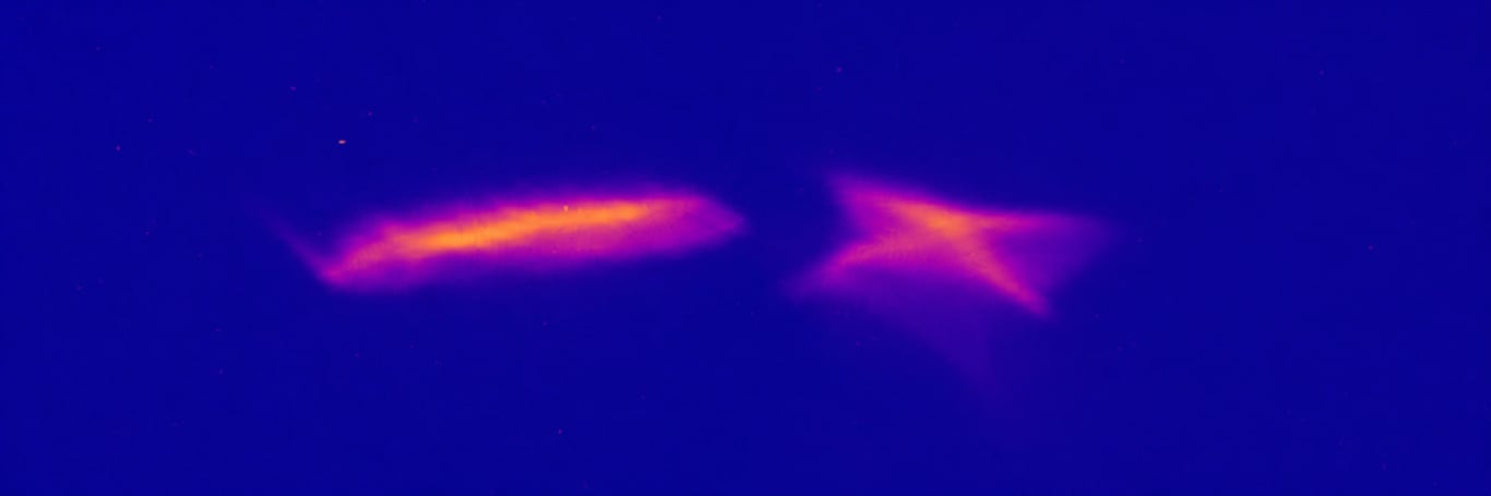 Observation of Skewed Electromagnetic Wakefields in an Asymmetric Structure Driven by Flat Electron Bunches