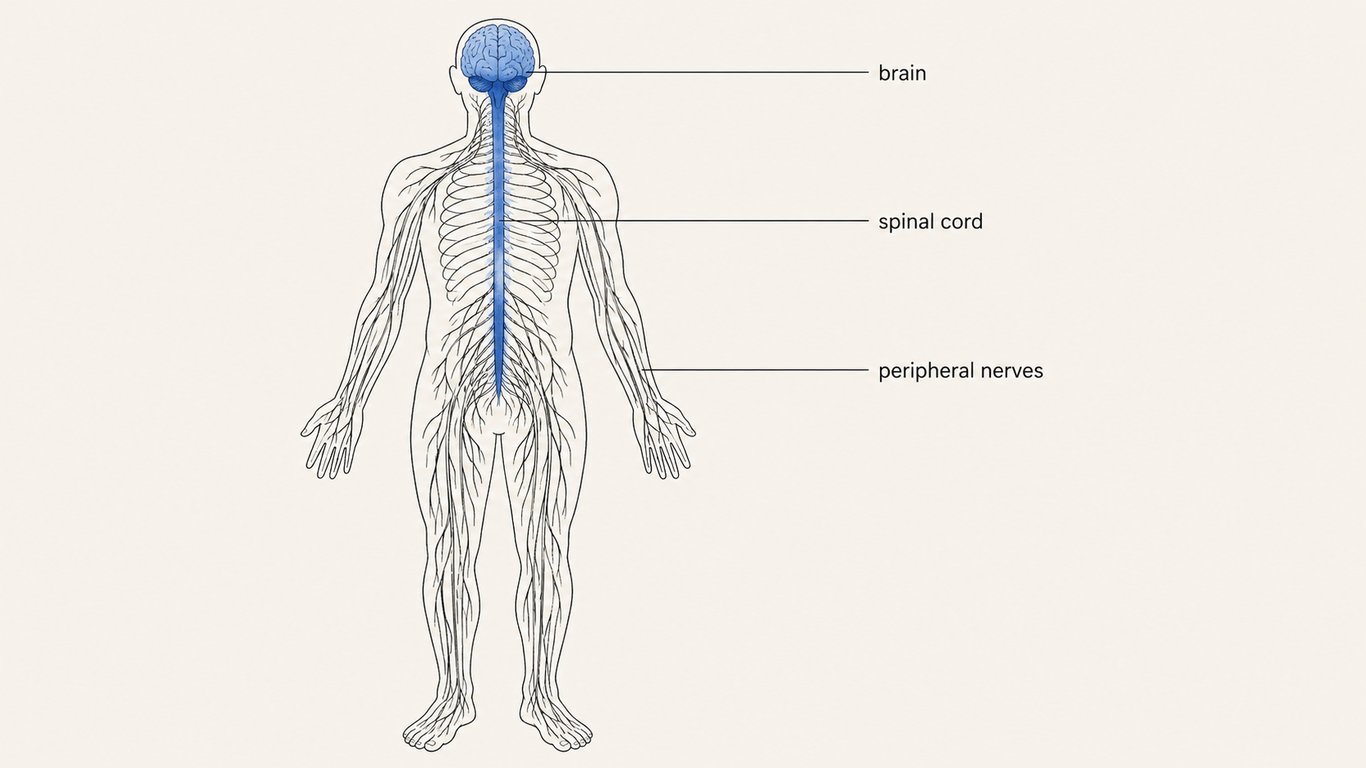 notion image